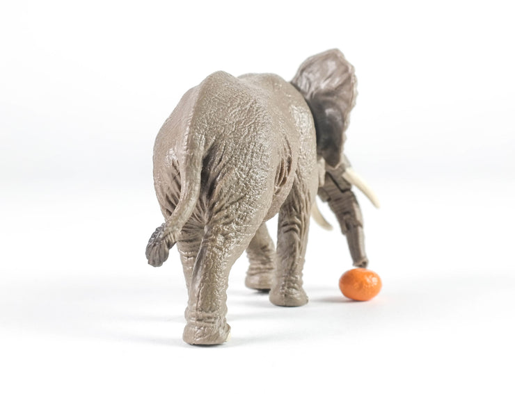 Ania AS-02 Afican Elephant (with Orange)