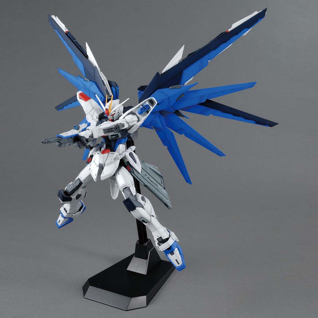 Mg 1/100 Freedom Gundam Ver.2.0