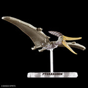 Planosaurus Pteranodon