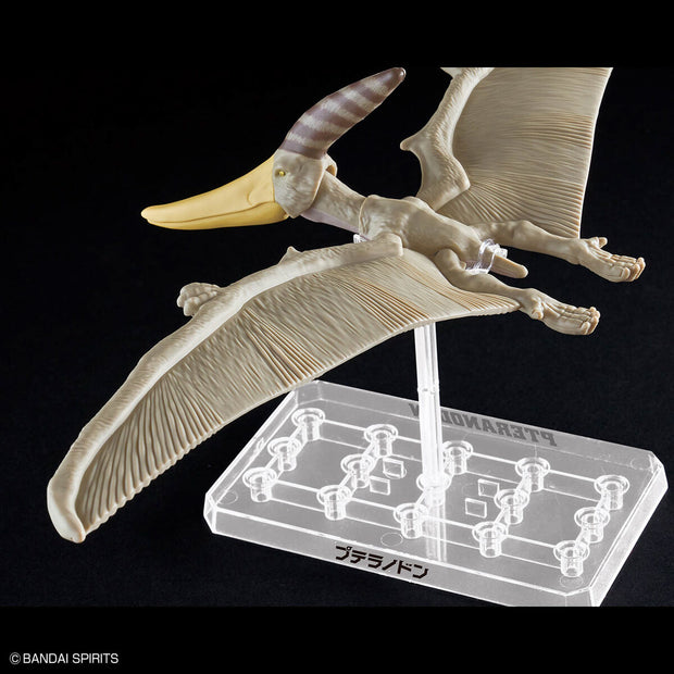 Planosaurus Pteranodon