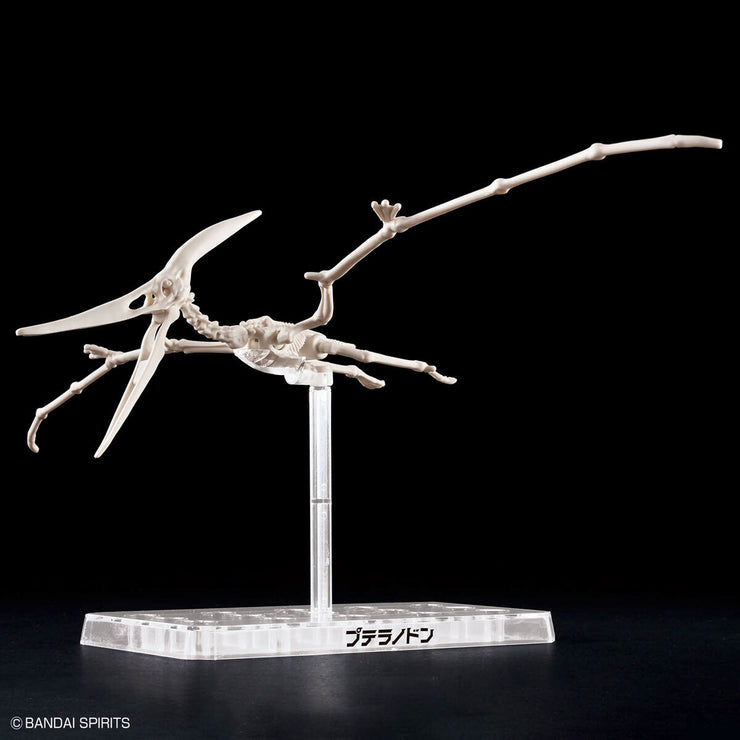 Planosaurus Pteranodon