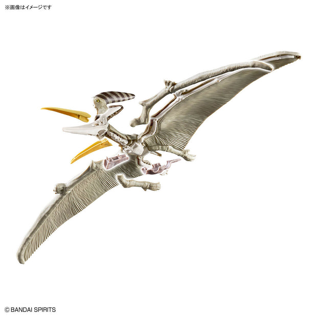 Planosaurus Pteranodon