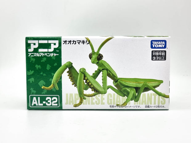 Ania AL-32 Tenodera Aridifolia (Mantis)