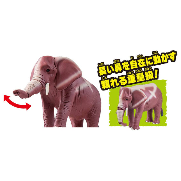 Ania Kingdom Elephant
