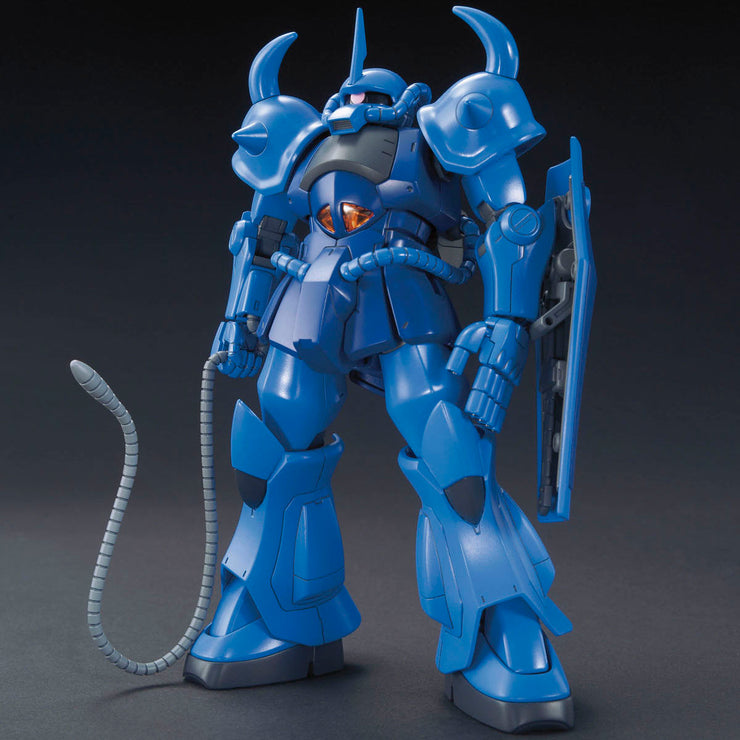 Hg 1/144 Gouf