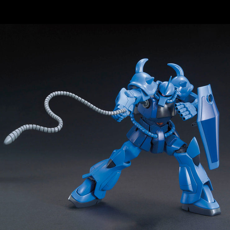 Hg 1/144 Gouf