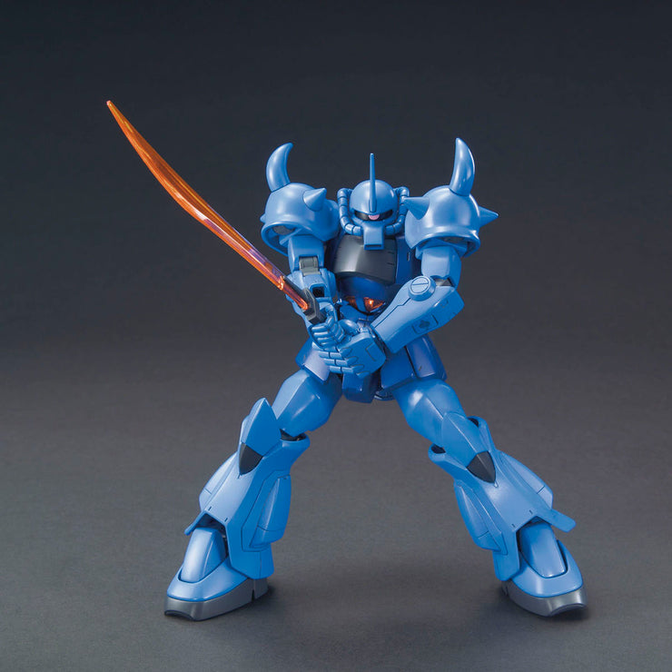 Hg 1/144 Gouf