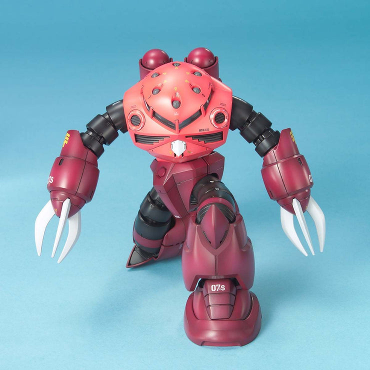 Mg 1/100 MSM-07 Z'Gok (Char's Custom)