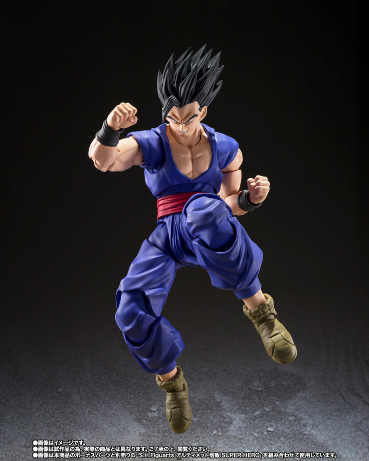 SHF Broly Super Hero