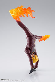 SHF Sanji The Raid On Onigashima