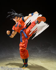 SHF Son Goku's Effect Parts Set