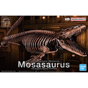 Imaginary 1/32 Skeleton Mosasaurus
