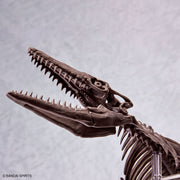 Imaginary 1/32 Skeleton Mosasaurus