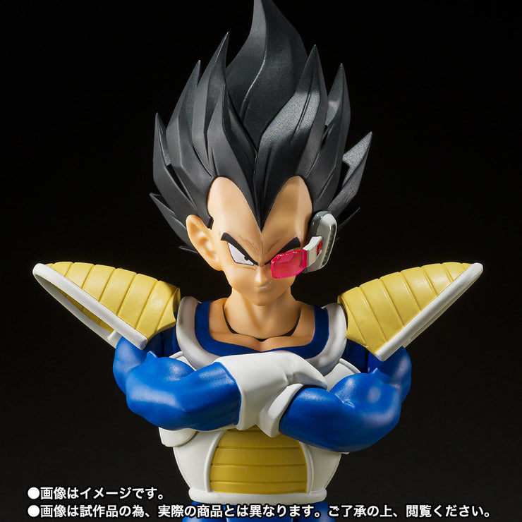 SHF Vegeta 24000 Power Level - Main Image