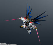 Gundam Universe Strike Freedom Gundam Type II