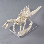 Action Base 6 (Clear Color) Mirror Stickers Set