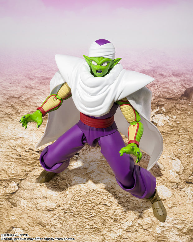 SHF Piccolo Daima