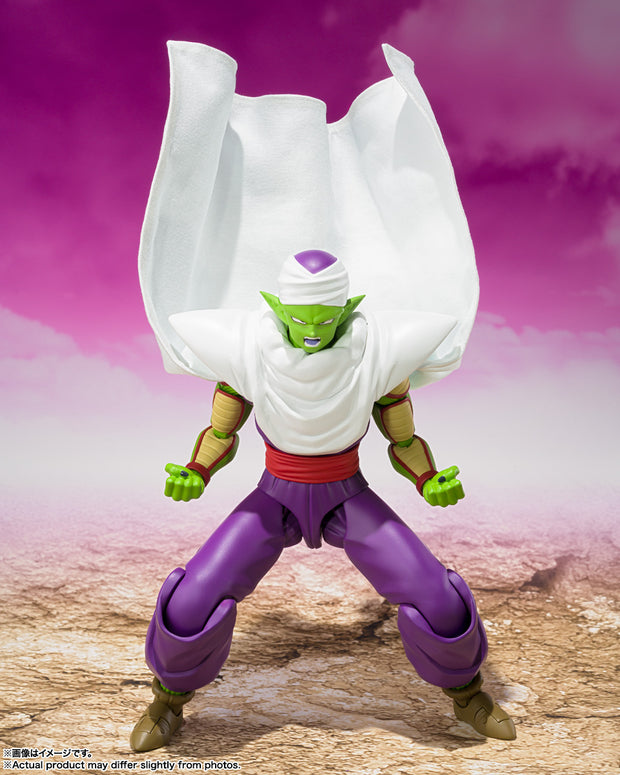 SHF Piccolo Daima