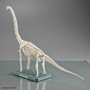 Plannosaurus Brachiosaurus