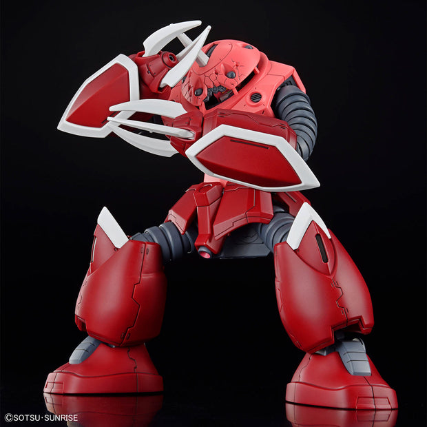 Hg 1/144 Zgok (Seed Freedom Ver)