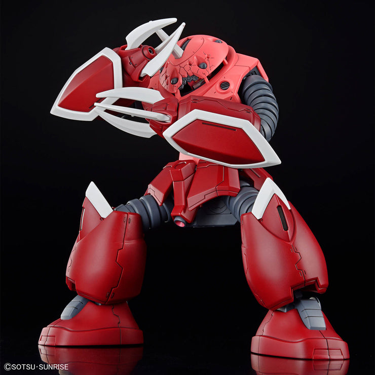 Hg 1/144 Zgok (Seed Freedom Ver)