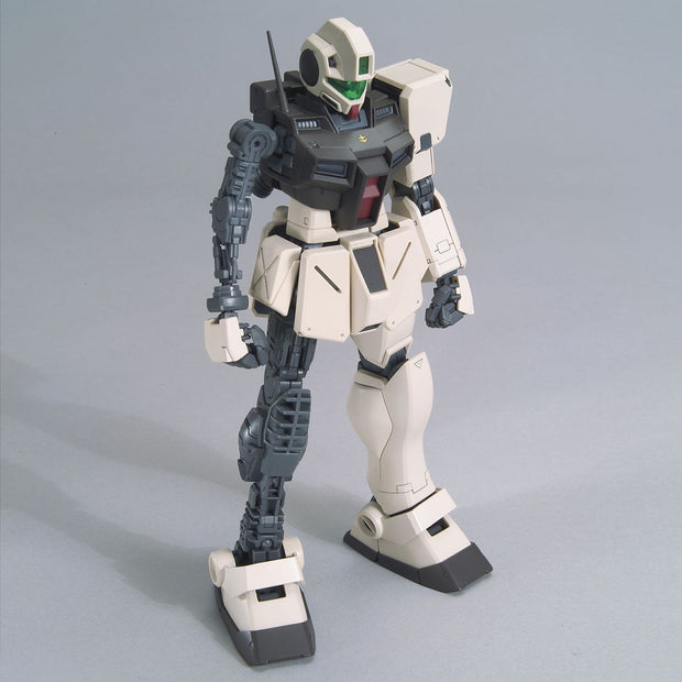 Mg 1/100 GM Command (Colony Type)
