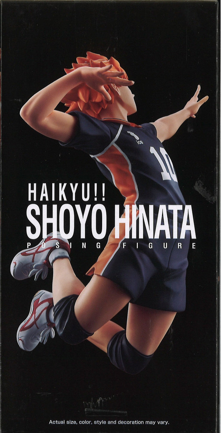 Haikyu!! Posing Figure Shoyo Hinata