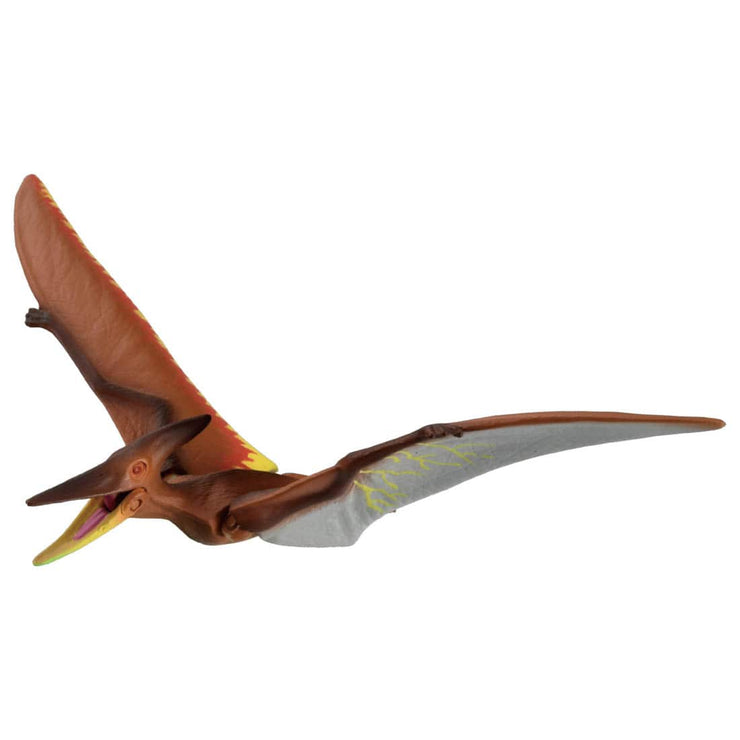 Ania Kingdom Pteira (Pteranodon)