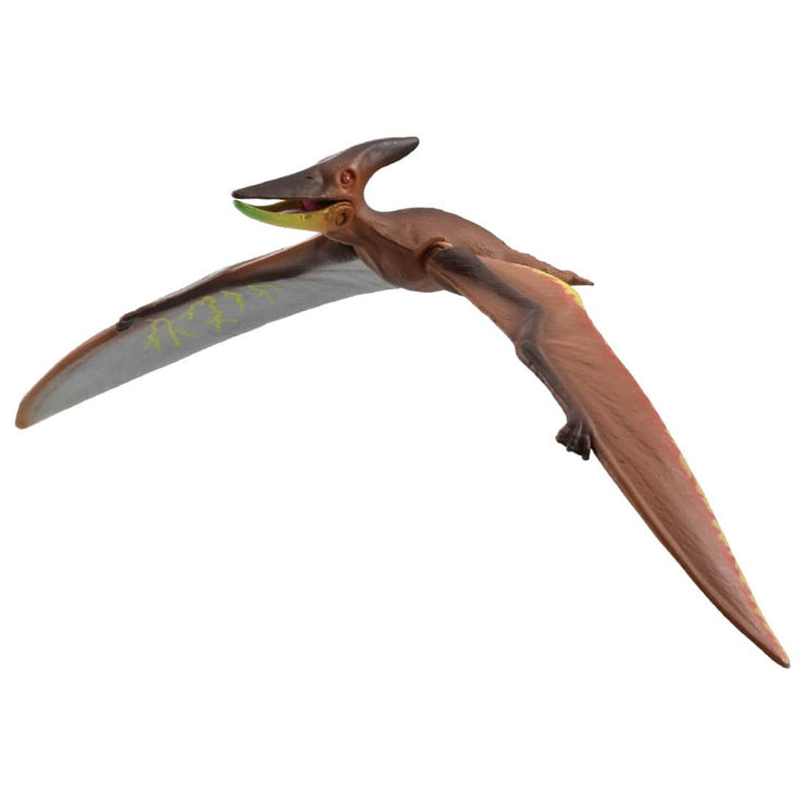 Ania Kingdom Pteira (Pteranodon)