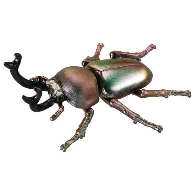 Ania AS-42 Rainbow Beetle