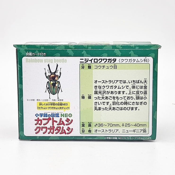 Ania AS-42 Rainbow Beetle