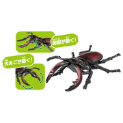 Ania AS-43 Sawtooth Stag Beetle