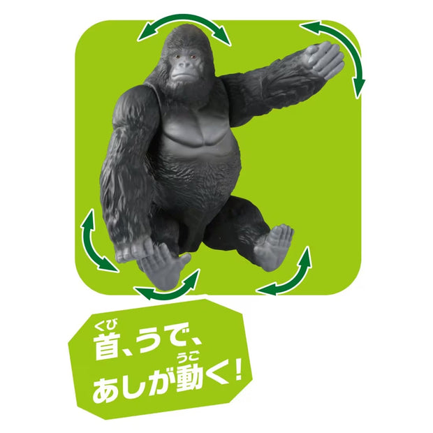 Ania AL-29 Gorilla (Eastern Gorilla)
