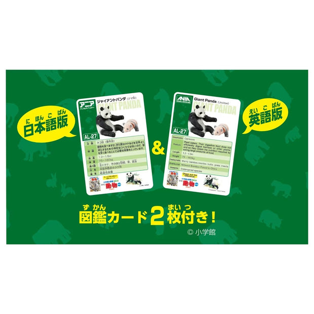 Ania AL-27 Giant Panda Family