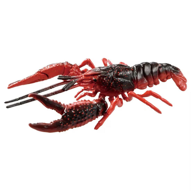 Ania AL-31 Crayfish