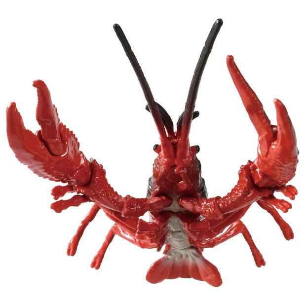 Ania AL-31 Crayfish