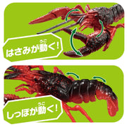 Ania AL-31 Crayfish