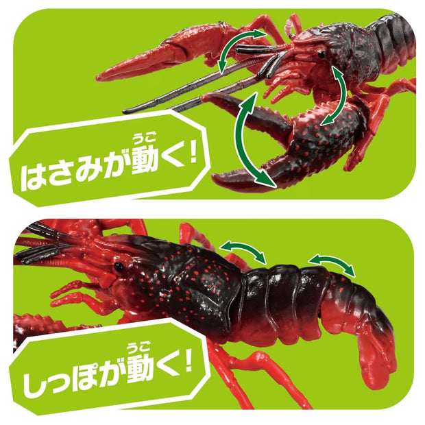 Ania AL-31 Crayfish