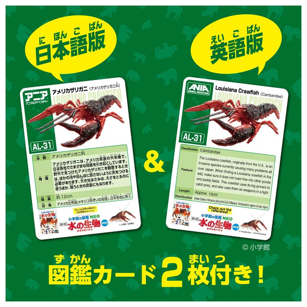 Ania AL-31 Crayfish