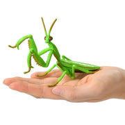 Ania AL-32 Tenodera Aridifolia (Mantis)