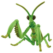 Ania AL-32 Tenodera Aridifolia (Mantis)