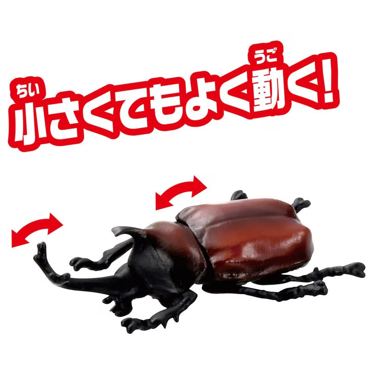 Ania Insect Capsule Collection [Random design will be given]