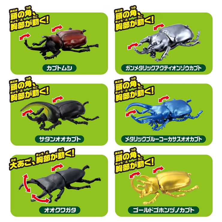 Ania Insect Capsule Collection [Random design will be given]