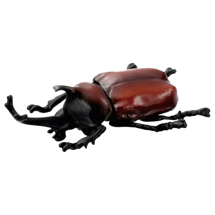 Ania Insect Capsule Collection [Random design will be given]