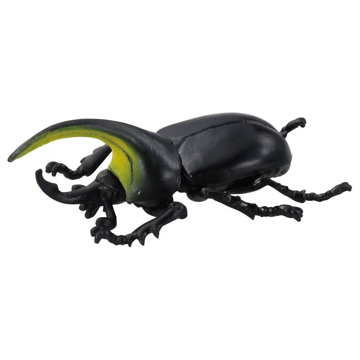 Ania Insect Capsule Collection [Random design will be given]