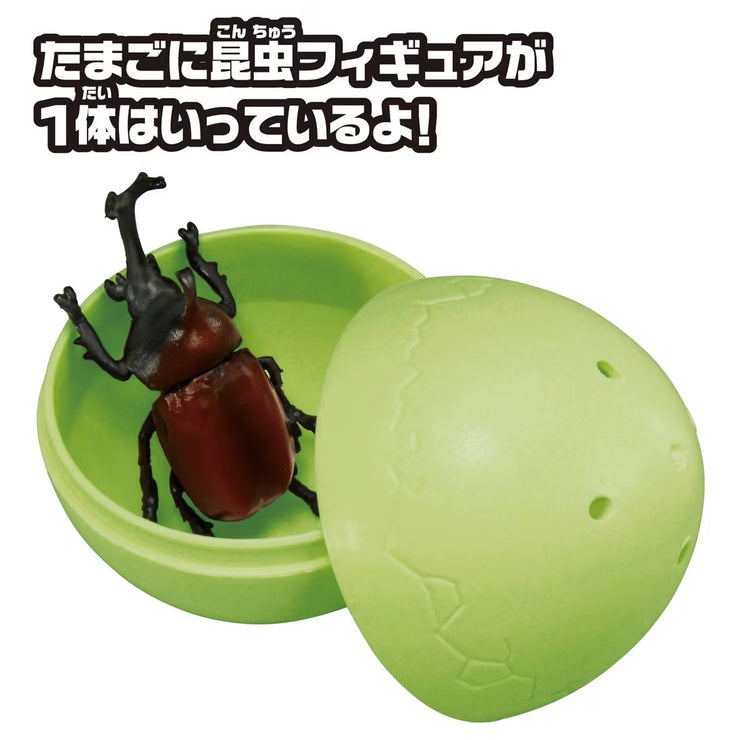 Ania Insect Capsule Collection [Random design will be given]