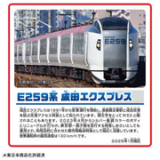 Plarail Series E259 Narita Express Connect Set