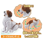 Ania Dog & Cat Set