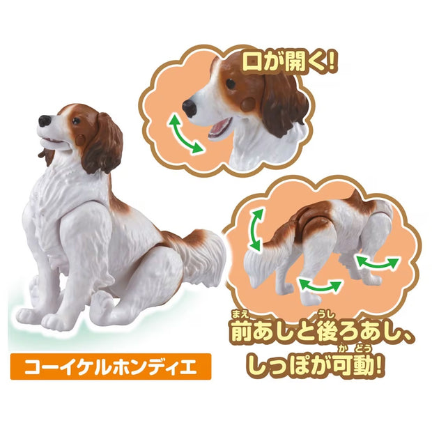 Ania Dog & Cat Set
