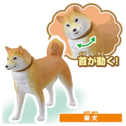 Ania Dog & Cat Set